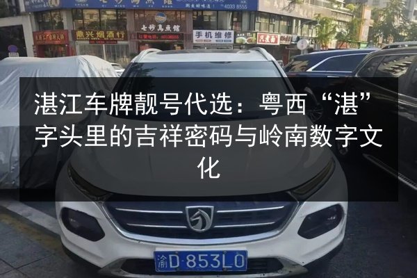 湛江车牌靓号代选:粤西“湛”字头里的吉祥密码与岭南数字文化 第2张 湛江车牌靓号代选:粤西“湛”字头里的吉祥密码与岭南数字文化 第2张