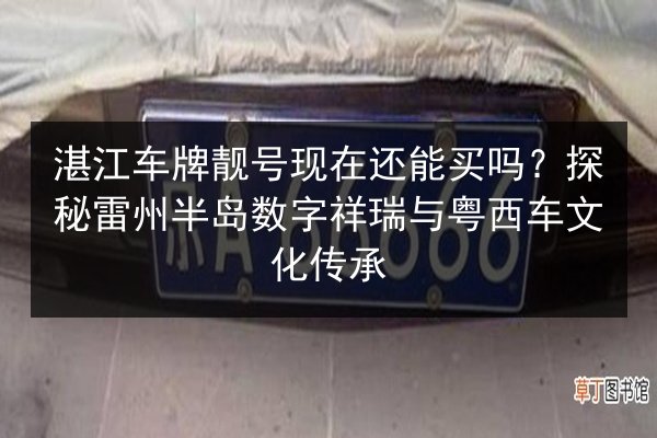 湛江车牌靓号现在还能买吗?探秘雷州半岛数字祥瑞与粤西车文化传承 第3张 湛江车牌靓号现在还能买吗?探秘雷州半岛数字祥瑞与粤西车文化传承 第3张