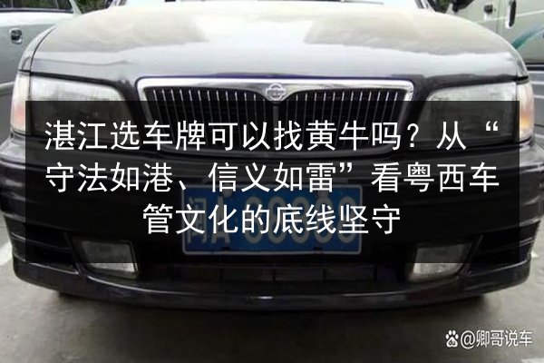 湛江选车牌可以找黄牛吗？从“守法如港、信义如雷”看粤西车管文化的底线坚守 第3张