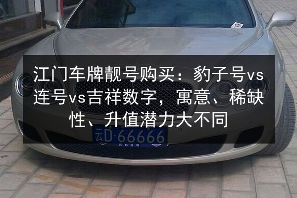 江门车牌靓号购买：豹子号vs连号vs吉祥数字，寓意、稀缺性、升值潜力大不同 第3张