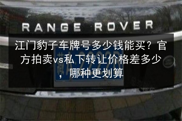 江门豹子车牌号多少钱能买？官方拍卖vs私下转让价格差多少，哪种更划算 第1张