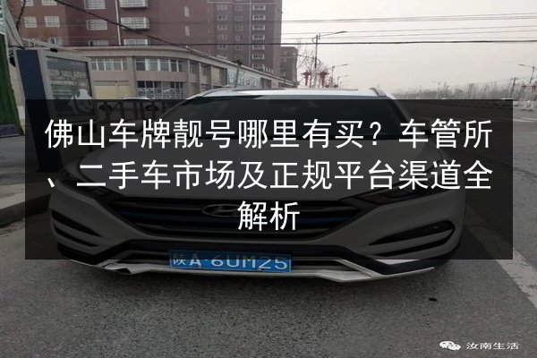 佛山车牌靓号哪里有买？车管所、二手车市场及正规平台渠道全解析 第2张
