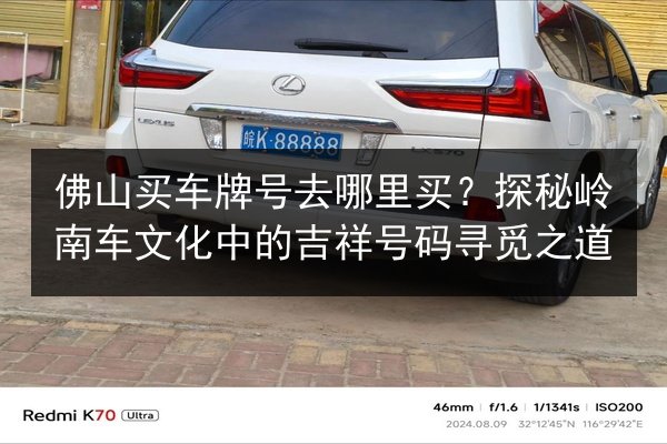佛山买车牌号去哪里买？探秘岭南车文化中的吉祥号码寻觅之道 第2张