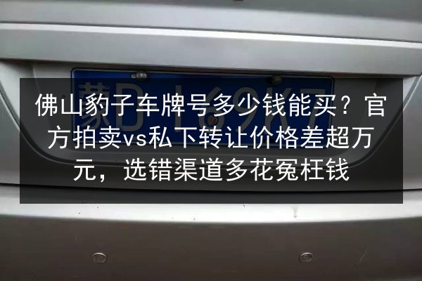 佛山豹子车牌号多少钱能买?官方拍卖vs私下转让价格差超万元,选错渠道多花冤枉钱 第1张 佛山豹子车牌号多少钱能买?官方拍卖vs私下转让价格差超万元,选错渠道多花冤枉钱 第1张