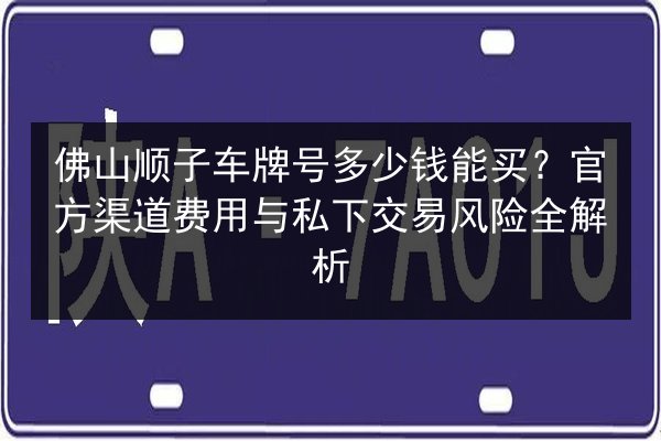 佛山顺子车牌号多少钱能买？官方渠道费用与私下交易风险全解析