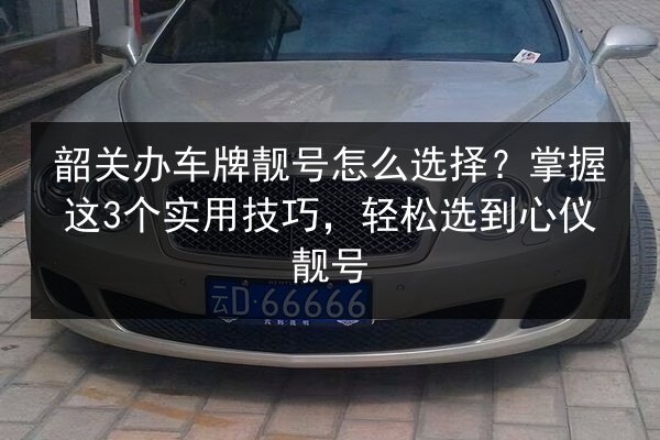 韶关办车牌靓号怎么选择？掌握这3个实用技巧，轻松选到心仪靓号 第2张