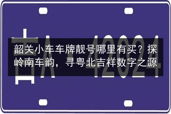 韶关小车车牌靓号哪里有买？探岭南车韵，寻粤北吉祥数字之源 第2张