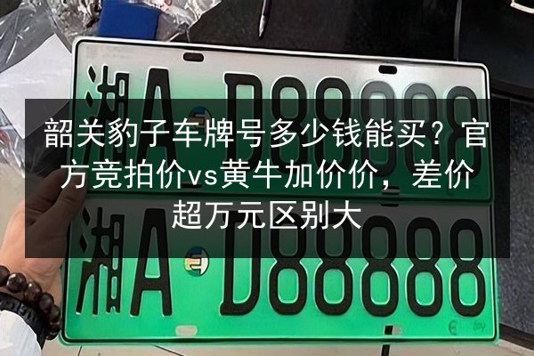 韶关豹子车牌号多少钱能买?官方竞拍价vs黄牛加价价,差价超万元区别大 第1张 韶关豹子车牌号多少钱能买?官方竞拍价vs黄牛加价价,差价超万元区别大 第1张