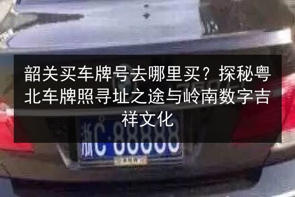 韶关买车牌号去哪里买？探秘粤北车牌照寻址之途与岭南数字吉祥文化 第3张