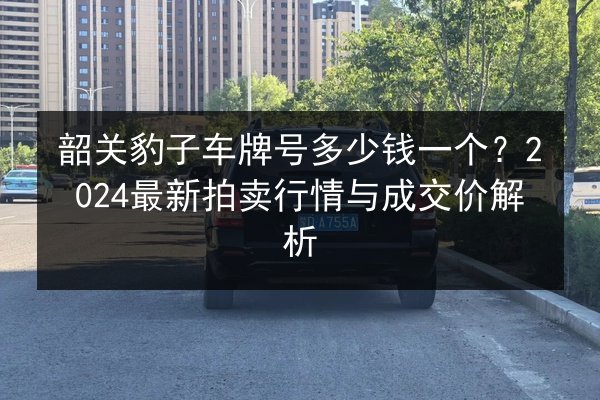 韶关豹子车牌号多少钱一个？2024最新拍卖行情与成交价解析 第2张