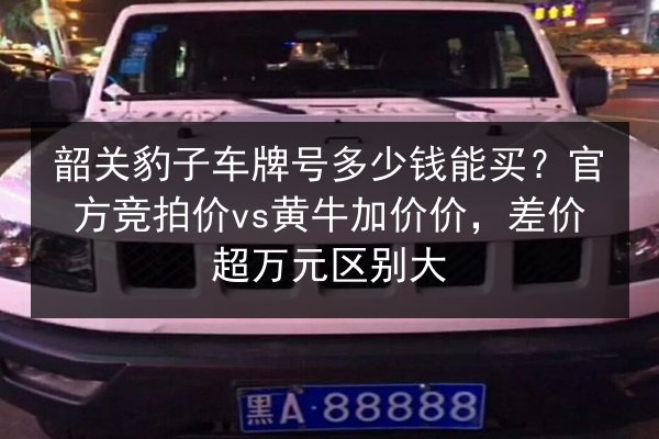 韶关豹子车牌号多少钱能买?官方竞拍价vs黄牛加价价,差价超万元区别大 第2张 韶关豹子车牌号多少钱能买?官方竞拍价vs黄牛加价价,差价超万元区别大 第2张