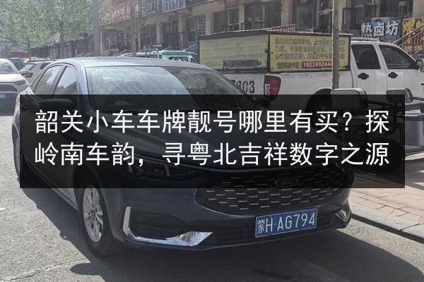 韶关小车车牌靓号哪里有买？探岭南车韵，寻粤北吉祥数字之源 第3张