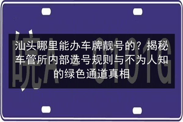 汕头哪里能办车牌靓号的？揭秘车管所内部选号规则与不为人知的绿色通道真相 第3张