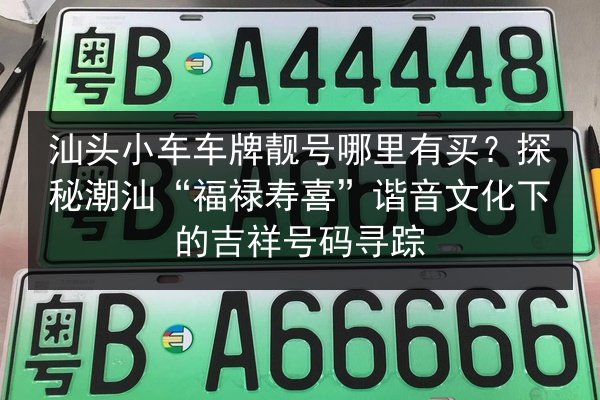 汕头小车车牌靓号哪里有买？探秘潮汕“福禄寿喜”谐音文化下的吉祥号码寻踪 第3张