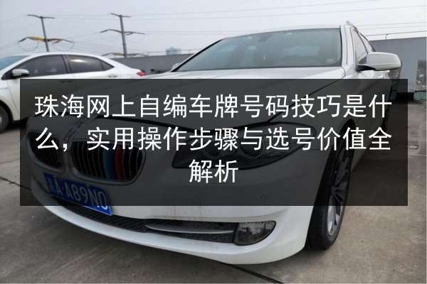 珠海网上自编车牌号码技巧是什么，实用操作步骤与选号价值全解析 第3张