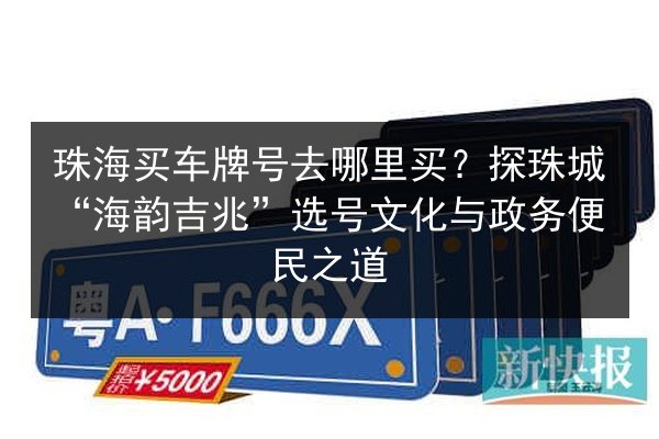 珠海买车牌号去哪里买?探珠城“海韵吉兆”选号文化与政务便民之道 第1张 珠海买车牌号去哪里买?探珠城“海韵吉兆”选号文化与政务便民之道 第1张