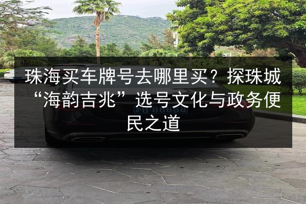 珠海买车牌号去哪里买?探珠城“海韵吉兆”选号文化与政务便民之道 第2张 珠海买车牌号去哪里买?探珠城“海韵吉兆”选号文化与政务便民之道 第2张