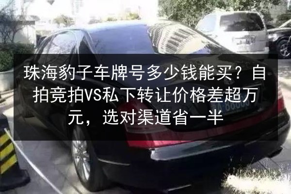 珠海豹子车牌号多少钱能买？自拍竞拍VS私下转让价格差超万元，选对渠道省一半 第2张