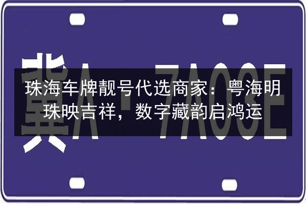 珠海车牌靓号代选商家：粤海明珠映吉祥，数字藏韵启鸿运 第2张