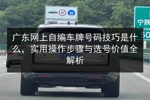 广东网上自编车牌号码技巧是什么，实用操作步骤与选号价值全解析