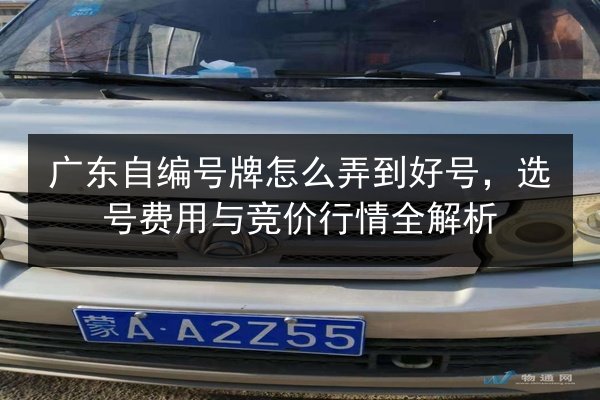 广东自编号牌怎么弄到好号,选号费用与竞价行情全解析 第2张 广东自编号牌怎么弄到好号,选号费用与竞价行情全解析 第2张
