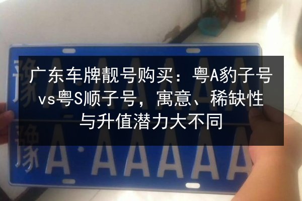 广东车牌靓号购买:粤A豹子号vs粤S顺子号,寓意、稀缺性与升值潜力大不同 第2张 广东车牌靓号购买:粤A豹子号vs粤S顺子号,寓意、稀缺性与升值潜力大不同 第2张