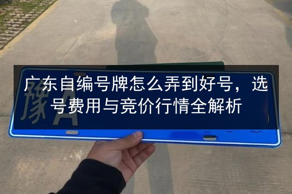 广东自编号牌怎么弄到好号,选号费用与竞价行情全解析 第3张 广东自编号牌怎么弄到好号,选号费用与竞价行情全解析 第3张