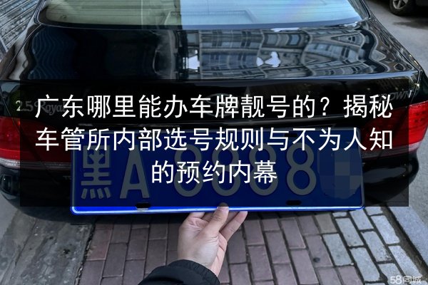 广东哪里能办车牌靓号的?揭秘车管所内部选号规则与不为人知的预约内幕 第2张 广东哪里能办车牌靓号的?揭秘车管所内部选号规则与不为人知的预约内幕 第2张