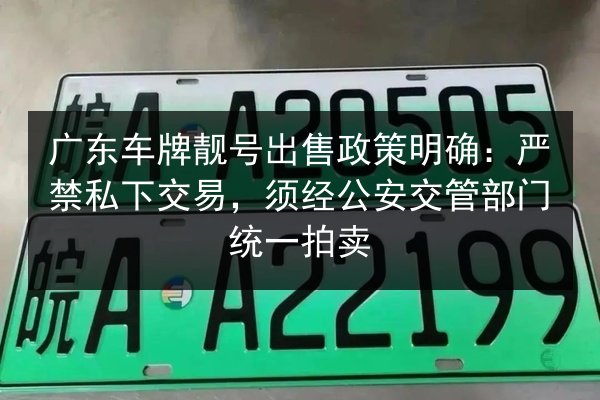 广东车牌靓号出售政策明确:严禁私下交易,须经公安交管部门统一拍卖 第3张 广东车牌靓号出售政策明确:严禁私下交易,须经公安交管部门统一拍卖 第3张