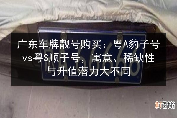 广东车牌靓号购买:粤A豹子号vs粤S顺子号,寓意、稀缺性与升值潜力大不同 第3张 广东车牌靓号购买:粤A豹子号vs粤S顺子号,寓意、稀缺性与升值潜力大不同 第3张