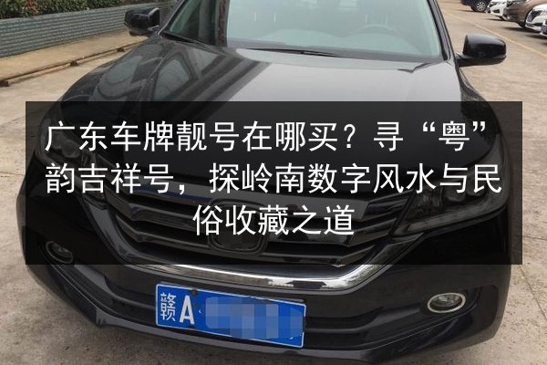 广东车牌靓号在哪买?寻“粤”韵吉祥号,探岭南数字风水与民俗收藏之道 第2张 广东车牌靓号在哪买?寻“粤”韵吉祥号,探岭南数字风水与民俗收藏之道 第2张
