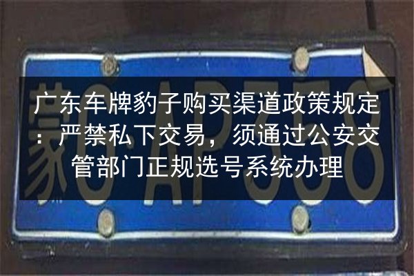 广东车牌豹子购买渠道政策规定:严禁私下交易,须通过公安交管部门正规选号系统办理 第2张 广东车牌豹子购买渠道政策规定:严禁私下交易,须通过公安交管部门正规选号系统办理 第2张