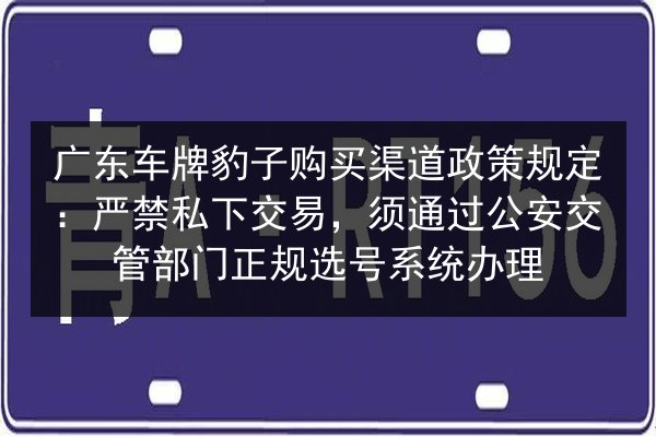广东车牌豹子购买渠道政策规定:严禁私下交易,须通过公安交管部门正规选号系统办理 第3张 广东车牌豹子购买渠道政策规定:严禁私下交易,须通过公安交管部门正规选号系统办理 第3张