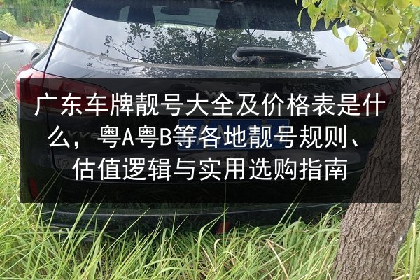 广东车牌靓号大全及价格表是什么，粤A粤B等各地靓号规则、估值逻辑与实用选购指南