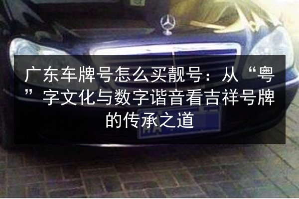 广东车牌号怎么买靓号：从“粤”字文化与数字谐音看吉祥号牌的传承之道 第2张