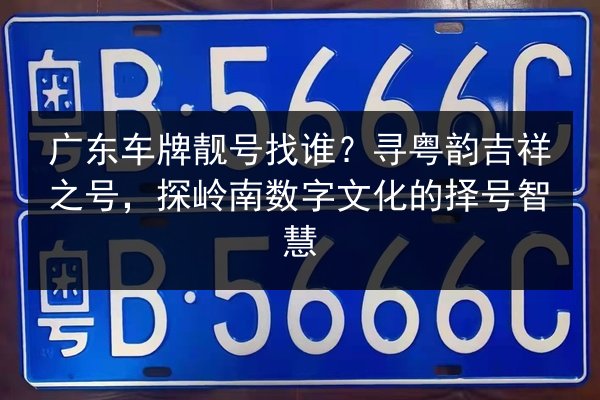 广东车牌靓号找谁？寻粤韵吉祥之号，探岭南数字文化的择号智慧 第3张