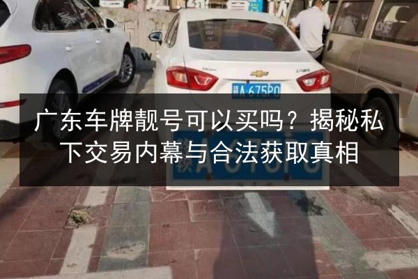 广东车牌靓号可以买吗？揭秘私下交易内幕与合法获取真相 第2张