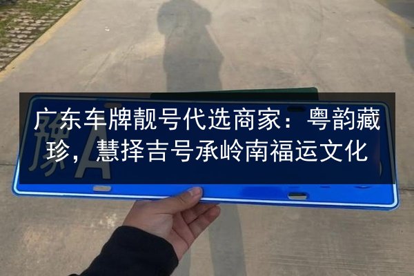 广东车牌靓号代选商家：粤韵藏珍，慧择吉号承岭南福运文化 第2张