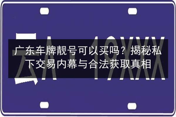 广东车牌靓号可以买吗？揭秘私下交易内幕与合法获取真相 第3张