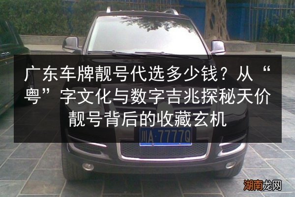 广东车牌靓号代选多少钱？从“粤”字文化与数字吉兆探秘天价靓号背后的收藏玄机 第2张