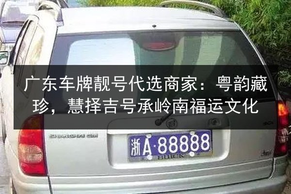 广东车牌靓号代选商家：粤韵藏珍，慧择吉号承岭南福运文化 第3张