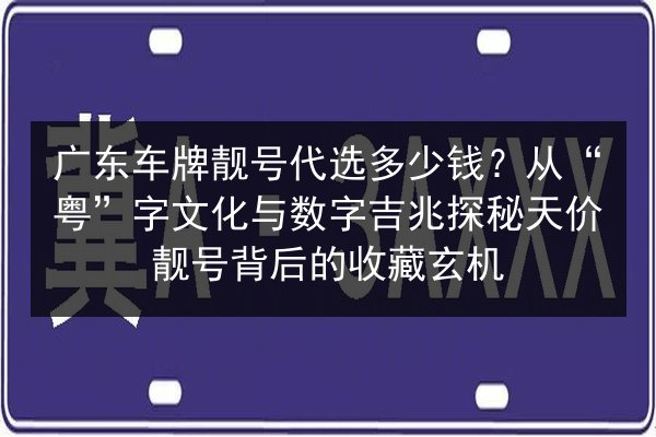 广东车牌靓号代选多少钱？从“粤”字文化与数字吉兆探秘天价靓号背后的收藏玄机 第3张