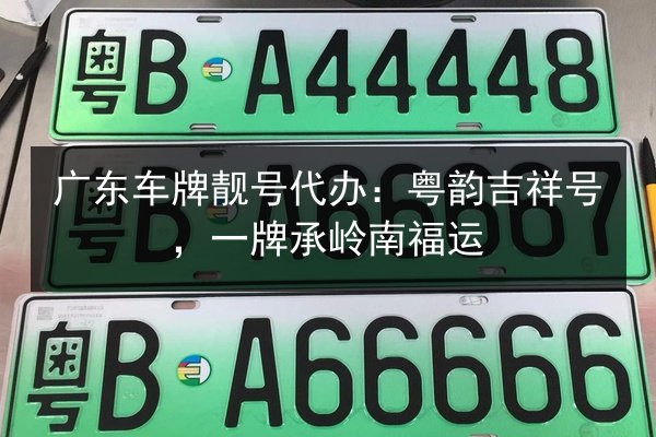 广东车牌靓号代办:粤韵吉祥号,一牌承岭南福运 第2张 广东车牌靓号代办:粤韵吉祥号,一牌承岭南福运 第2张