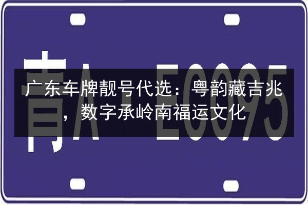 广东车牌靓号代选：粤韵藏吉兆，数字承岭南福运文化 第2张