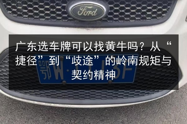 广东选车牌可以找黄牛吗？从“捷径”到“歧途”的岭南规矩与契约精神 第2张