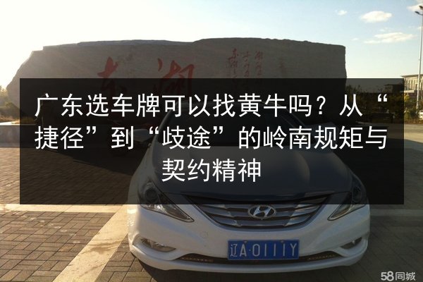 广东选车牌可以找黄牛吗？从“捷径”到“歧途”的岭南规矩与契约精神 第3张