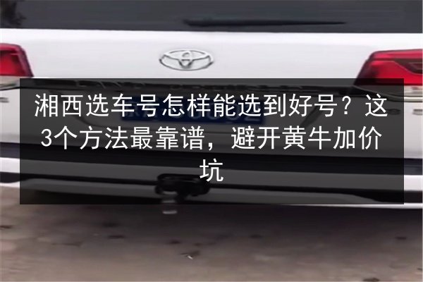 湘西选车号怎样能选到好号?这3个方法最靠谱,避开黄牛加价坑 第2张 湘西选车号怎样能选到好号?这3个方法最靠谱,避开黄牛加价坑 第2张