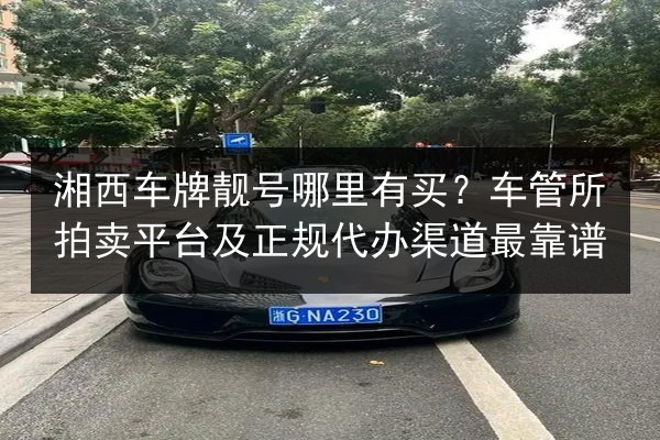 湘西车牌靓号哪里有买?车管所拍卖平台及正规代办渠道最靠谱 第2张 湘西车牌靓号哪里有买?车管所拍卖平台及正规代办渠道最靠谱 第2张