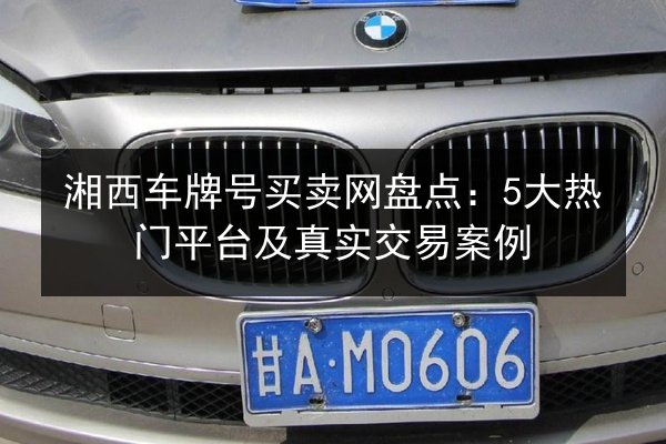 湘西车牌号买卖网盘点：5大热门平台及真实交易案例 第1张
