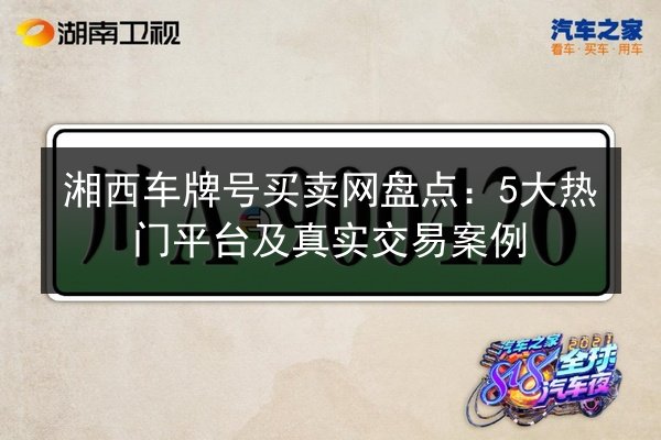 湘西车牌号买卖网盘点：5大热门平台及真实交易案例 第2张